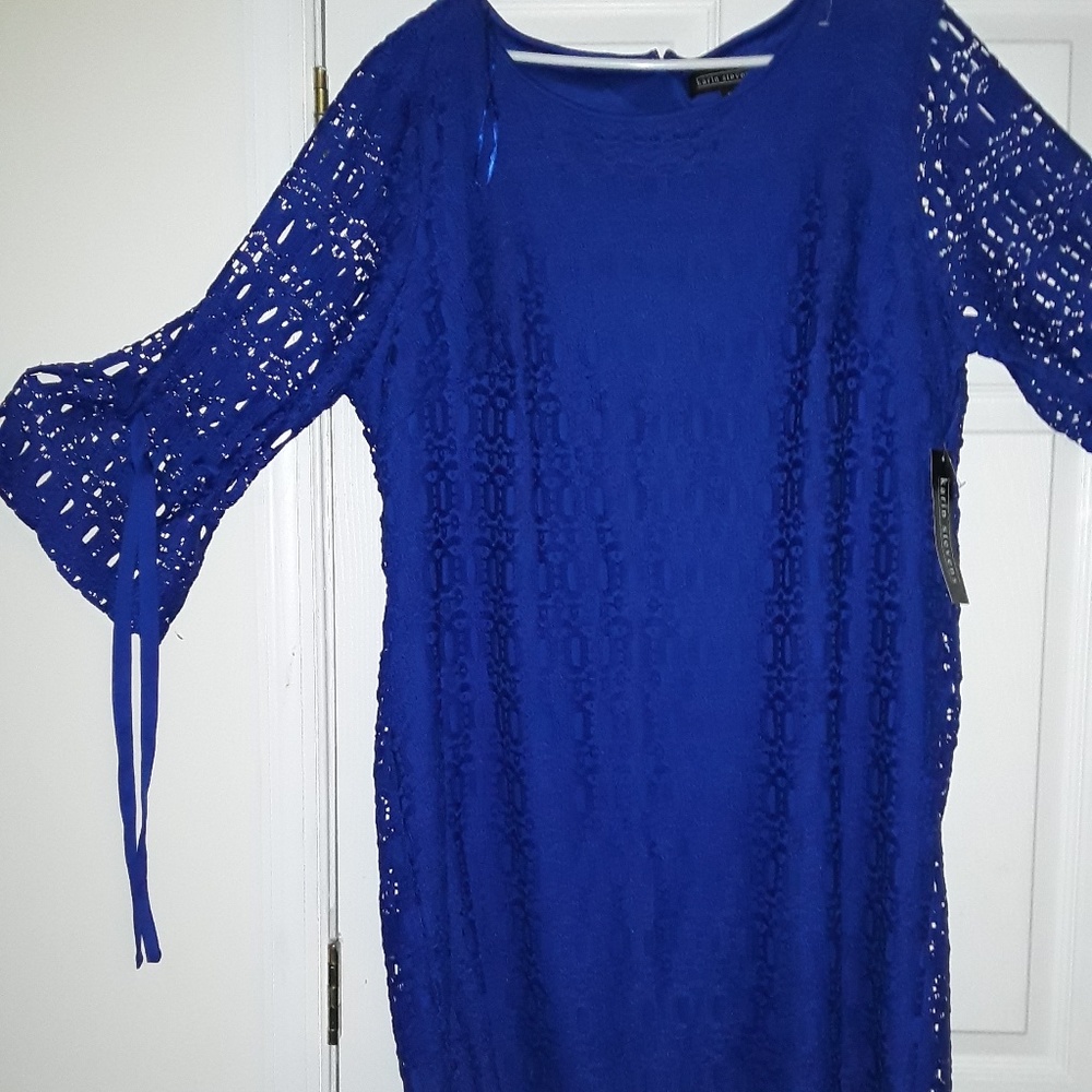 Karin Stevens Dress